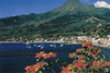 Martinique