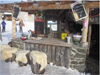 Zillertal, Austria- Mountain Bar atop mt.